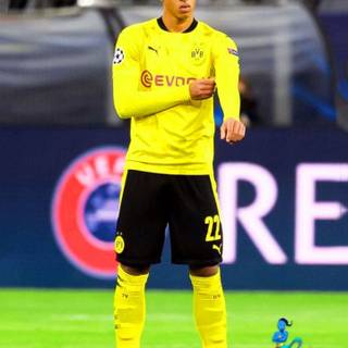 Bellingham phone wallpaper