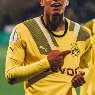 Bellingham 4k iPhone wallpaper