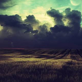 Oil painting 4k wallpaper