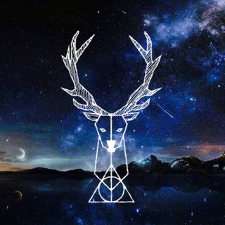 Harry Potter 4k phone wallpaper