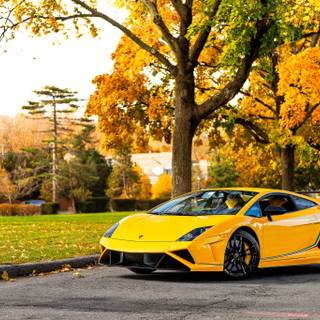 Yellow Lamborghini 4k wallpaper