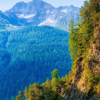 4k nature vertical wallpaper