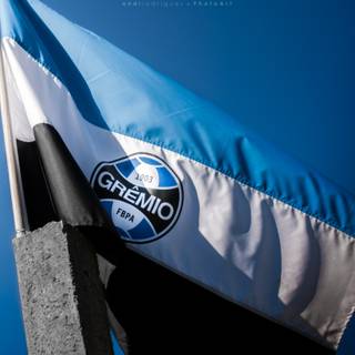 Gremio 4k wallpaper