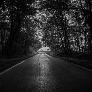 Dark road 4k wallpaper