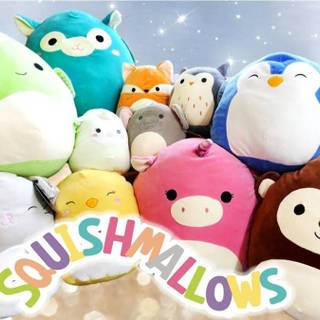Cute cat Squishmallows wallpaper