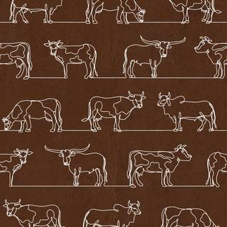 Show cattle wallpaper