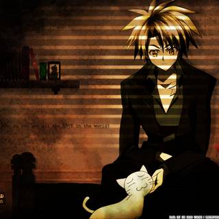 Black Cat anime HD wallpaper