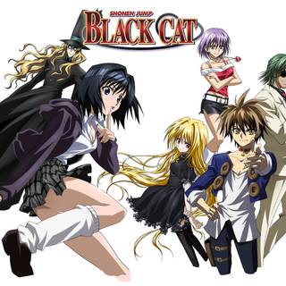 Black Cat anime HD wallpaper