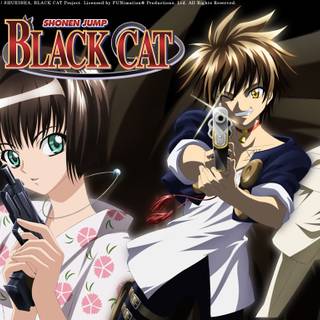 Black Cat anime HD wallpaper