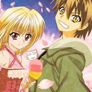 Black Cat anime HD wallpaper