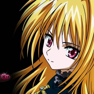 Black Cat anime HD wallpaper