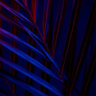 Blue and red 4k wallpaper