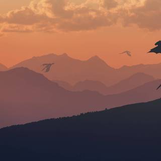 Game of Thrones desktop 4k wallpaper