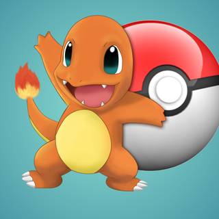 Charmander 4k wallpaper