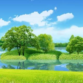 Phone 4k nature wallpaper