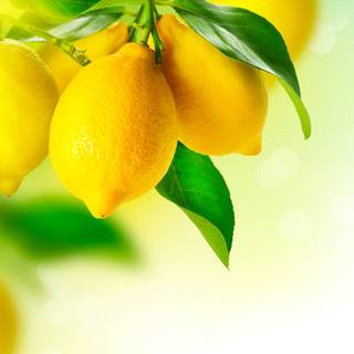 Lemon 4k wallpaper