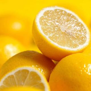 Citrus fruit wallpaper