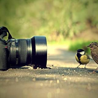 Photography camera wallpaper
