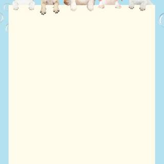 Puppies iPhone wallpaper