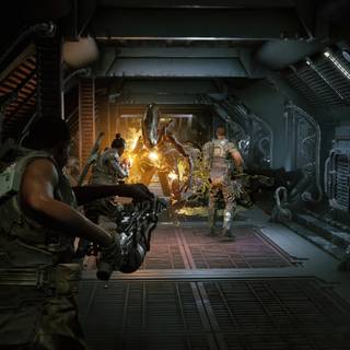 Aliens Fireteam Elite wallpaper