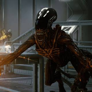 Aliens Fireteam Elite wallpaper