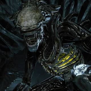 Aliens Fireteam Elite wallpaper