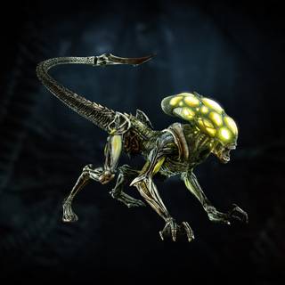 Aliens Fireteam Elite wallpaper