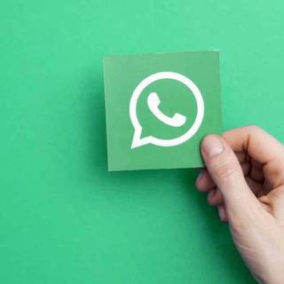 WhatsApp web wallpaper