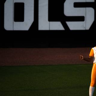 Tennessee Lady Volunteers softball wallpaper