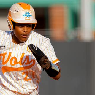 Tennessee Lady Volunteers softball wallpaper