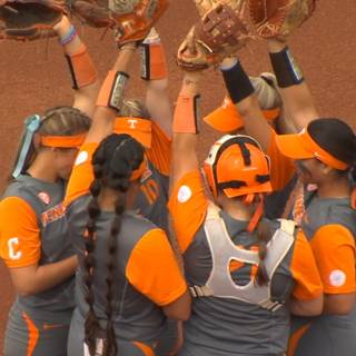 Tennessee Lady Volunteers softball wallpaper