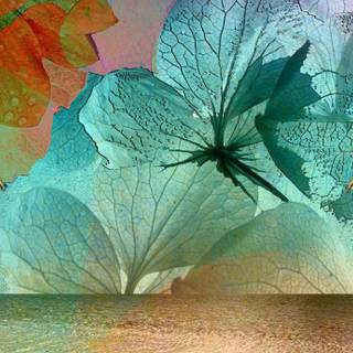 Indian sculpture wallpaper