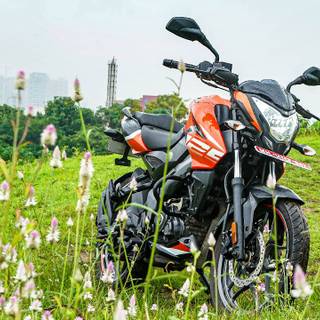 Bajaj Pulsar NS125 wallpaper