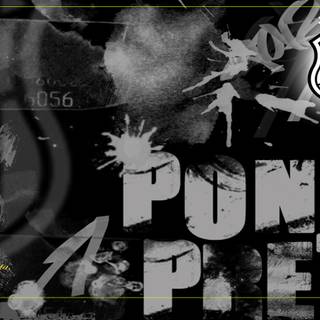 Associação Atlética Ponte Preta wallpaper