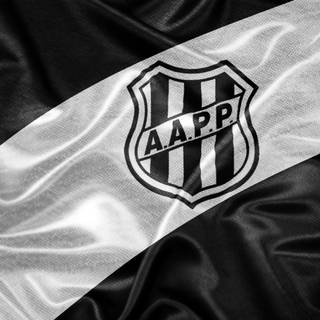 Associação Atlética Ponte Preta wallpaper