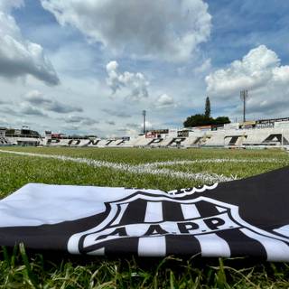 Associação Atlética Ponte Preta wallpaper