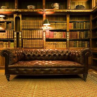 Cozy library wallpaper