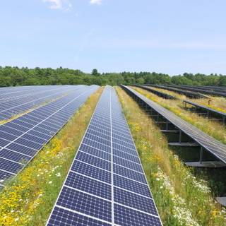 Solar farm wallpaper
