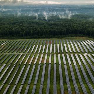 Solar farm wallpaper