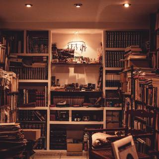 Cozy library wallpaper