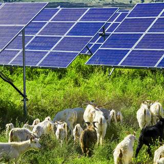 Solar farm wallpaper