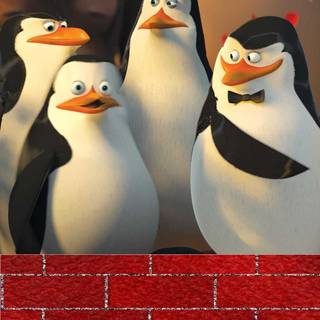 The Penguins of Madagascar wallpaper