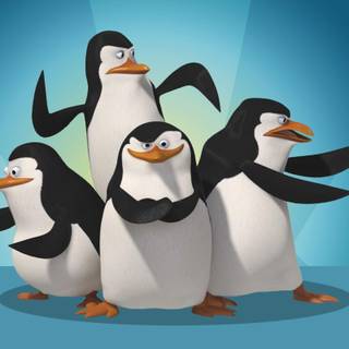 The Penguins of Madagascar wallpaper