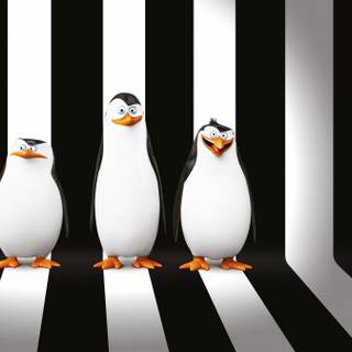 The Penguins of Madagascar wallpaper