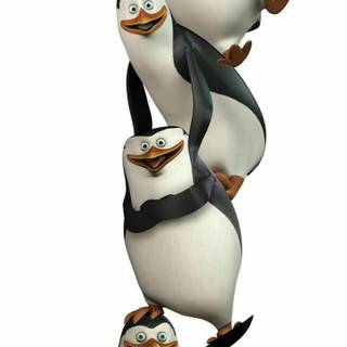The Penguins of Madagascar wallpaper