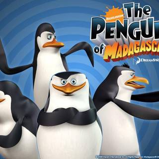 The Penguins of Madagascar wallpaper