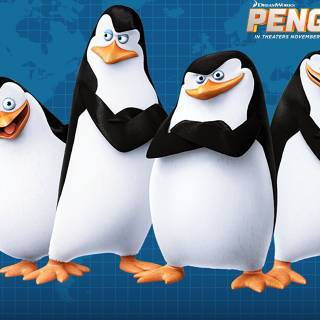 The Penguins of Madagascar wallpaper