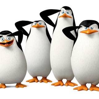 The Penguins of Madagascar wallpaper