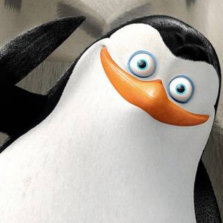 The Penguins of Madagascar wallpaper