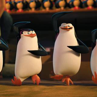 The Penguins of Madagascar wallpaper